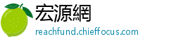 宏源網